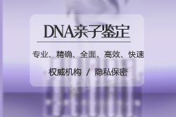 石家庄亲子鉴定在哪里做,石家庄做亲子鉴定要多少钱 石家庄亲子鉴定在哪里做,石家庄做亲子鉴定要多少钱