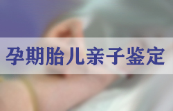 石家庄怀孕五个月可以做孕期亲子鉴定吗,石家庄办理无创孕期亲子鉴定办理费用
