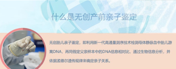 石家庄胎儿和父亲如何做亲子鉴定,石家庄无创孕期亲子鉴定价格收费 石家庄胎儿和父亲如何做亲子鉴定,石家庄无创孕期亲子鉴定价格收费
