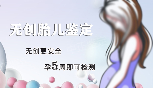 石家庄怀孕47天如何做亲子鉴定,石家庄孕期亲子鉴定价格