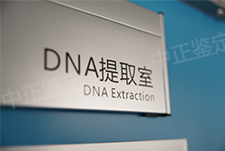 石家庄做亲子鉴定医院电话地址,石家庄权威DNA鉴定医院地址查询 石家庄做亲子鉴定医院电话地址,石家庄权威DNA鉴定医院地址查询
